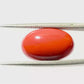Natural Coral Gemstone – The Gem of Strength, Vitality & Protection 10.98 CT
