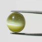 Natural Cat’s Eye Gemstone (Lehsunia) – Protection, Intuition & Ketu’s Power 10.92 CT