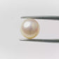 Natural Pearl (Moti) – The Gem of Purity, Elegance & Peace 4.46 CT