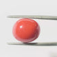 Natural Coral Gemstone – The Gem of Strength, Vitality & Protection 7.14 CT