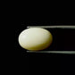 Natural White Coral Gemstone – The Gem of Strength, Vitality & Protection 5.57 CT