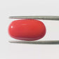Natural Coral Gemstone – The Gem of Strength, Vitality & Protection 6.81 CT