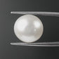 Japanese Keshi Moti – Rare Natural Pearl of Purity, Prosperity & Elegance 7.66 CT