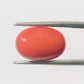 Natural Coral Gemstone – The Gem of Strength, Vitality & Protection 5.62 CT