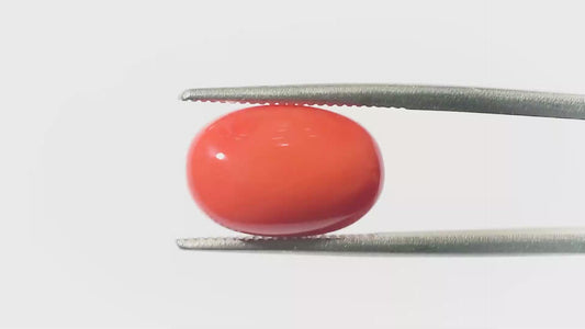 Natural Coral Gemstone – The Gem of Strength, Vitality & Protection 5.62 CT