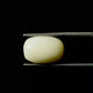 Natural White Coral Gemstone – The Gem of Strength, Vitality & Protection 5.10 CT