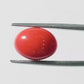 Red Coral Japanese – Natural Moonga for Strength 4.35 CT