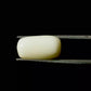 Natural White Coral Gemstone – The Gem of Strength, Vitality & Protection 5.86 CT