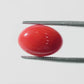 Red Coral Japanese – Natural Moonga for Strength 3.94 CT