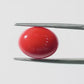 Red Coral Japanese – Natural Moonga for Strength 5.19 CT