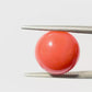 Natural Round Coral – The Gem of Strength, Vitality Protection 5.59 CT