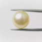 Natural Pearl (Moti) – The Gem of Purity, Elegance & Peace 7.92 CT