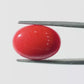 Red Coral Japanese – Natural Moonga for Strength 5.76 CT