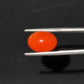 Red Natural Japanese Coral 6.30 CT – Certified Gemstone
