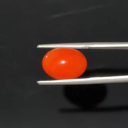 Red Natural Japanese Coral 6.30 CT – Certified Gemstone