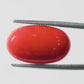 Red Coral Japanese – Natural Moonga for Strength 7.15 CT