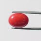 Red Coral Japanese – Natural Moonga for Strength 6.10 CT