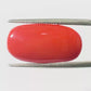 Natural Coral Gemstone – The Gem of Strength, Vitality & Protection 7.14 CT