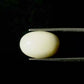 Natural White Coral Gemstone – The Gem of Strength, Vitality & Protection 8.15 CT