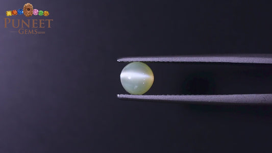 Natural Cat's Eye (Lehsunia) 1.58 Ct – Certified Premium Gemstone