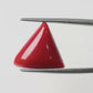 Natural Triangle Coral – The Gem of Strength, Vitality & Protection 7.88 CT