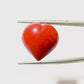 Natural Heart Coral – The Gem of Strength, Vitality & Protection 20.32 CT