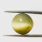 Indian Cat’s Eye Gemstone (Lehsunia) – Protection, Intuition & Ketu’s Power 6.01 CT