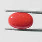 Red Coral Japanese – Natural Moonga for Strength 7.60 CT