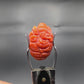 Coral Ganesh 22.30 CT – Certified Gemstone
