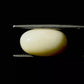 Natural White Coral Gemstone – The Gem of Strength, Vitality & Protection 8.91 CT