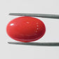 Red Coral Japanese – Natural Moonga for Strength 4.56 CT