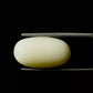 Natural White Coral Gemstone – The Gem of Strength, Vitality & Protection 8.39 CT