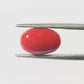 Natural Coral Gemstone – The Gem of Strength, Vitality & Protection 3.86 CT
