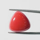 Red Coral Japanese – Natural Moonga for Strength 16.13 CT