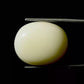 Natural White Coral Gemstone – The Gem of Strength, Vitality & Protection 15.66 CT