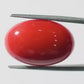 Red Coral Japanese – Natural Moonga for Strength 14.48 CT