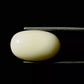 Natural White Coral Gemstone – The Gem of Strength, Vitality & Protection 7.58 CT