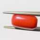 Natural Coral Gemstone – The Gem of Strength, Vitality & Protection 6.59 CT