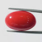 Red Coral Japanese – Natural Moonga for Strength 9.79 CT