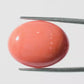 Red Coral Japanese – Natural Moonga for Strength 13.03 CT
