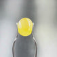 Natural Yellow Sapphire (Thailand) – Prosperity, Wisdom & Jupiter’s Blessing 5.50 CT