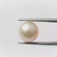 Natural Pearl (Moti) – The Gem of Purity, Elegance & Peace 5.39 CT