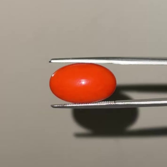 Red Natural Japanese Coral 8.17 CT – Certified Gemstone