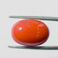 Natural Coral Gemstone – The Gem of Strength, Vitality & Protection 13.01 CT