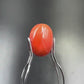 Natural Red Coral (Moonga) – Italy Origin – Certified & Untreated Gemstone for Mars Energy 4.56 CT