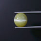 Natural Cat's Eye (Lehsunia) 9.29 CT - Certified