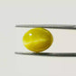 Natural Cat’s Eye Gemstone (Lehsunia) – Protection, Intuition & Ketu’s Power 6.50 CT