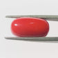 Natural Coral Gemstone – The Gem of Strength, Vitality & Protection 9.55 CT