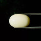 Natural White Coral Gemstone – The Gem of Strength, Vitality & Protection 9.35 CT