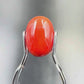 Natural Red Coral (Moonga) – Italy Origin – Certified & Untreated Gemstone for Mars Energy 4.16 CT
